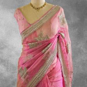 Tissue Organza Party Wear Saree